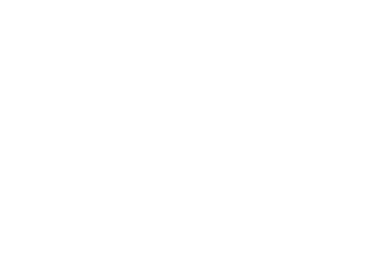 logo_weiss
